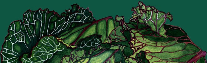 Page not found